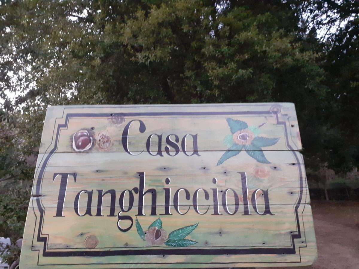 Casa Tanghicciola Διαμέρισμα Levie Εξωτερικό φωτογραφία