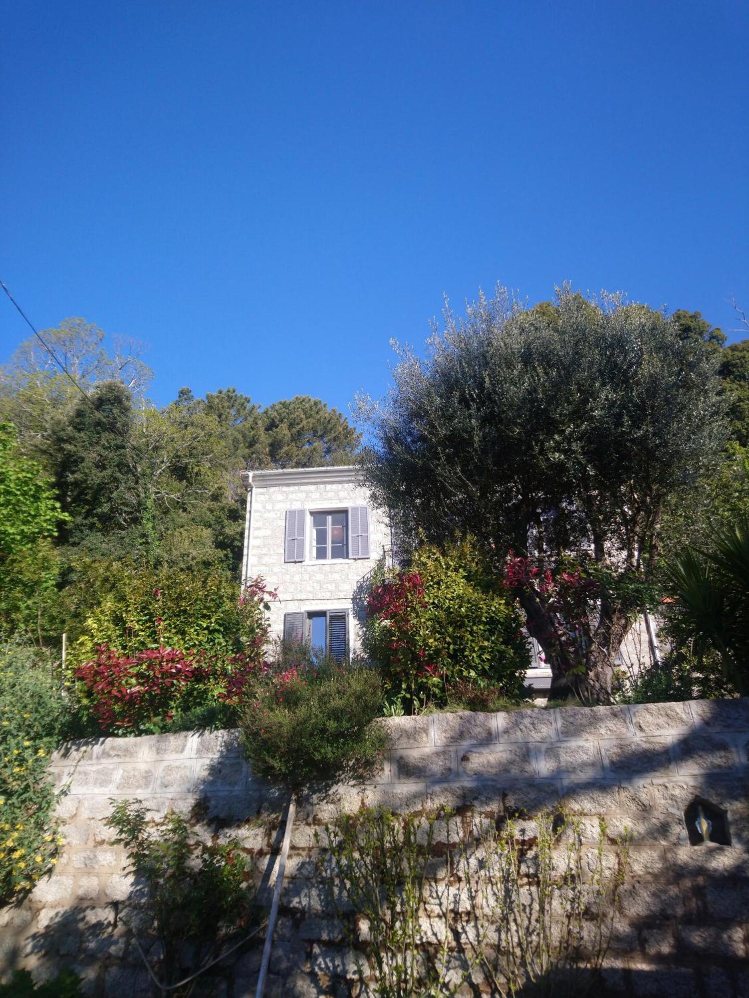 Casa Tanghicciola Διαμέρισμα Levie Εξωτερικό φωτογραφία