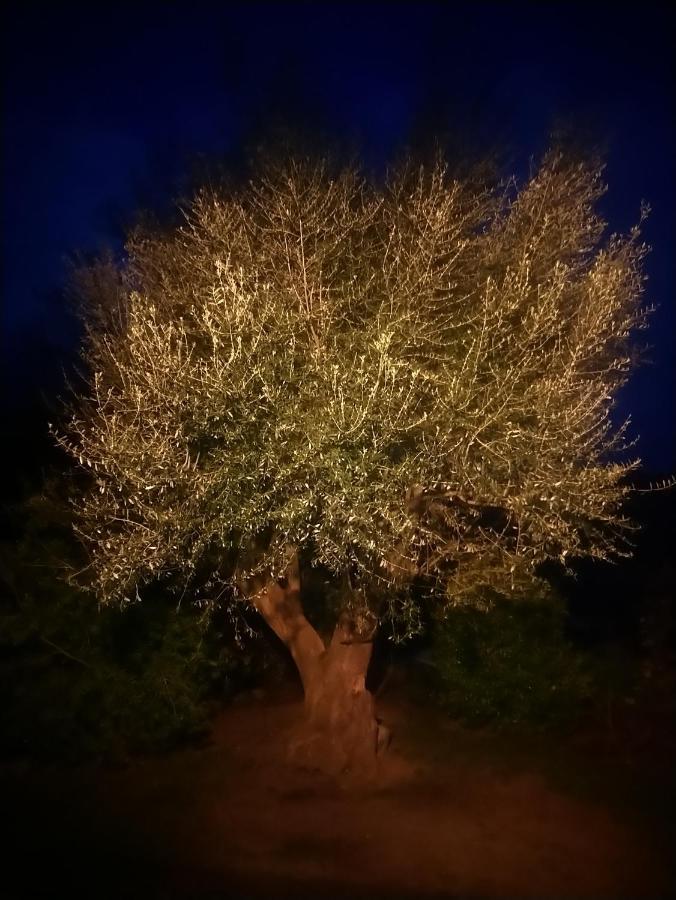 Casa Tanghicciola Διαμέρισμα Levie Εξωτερικό φωτογραφία
