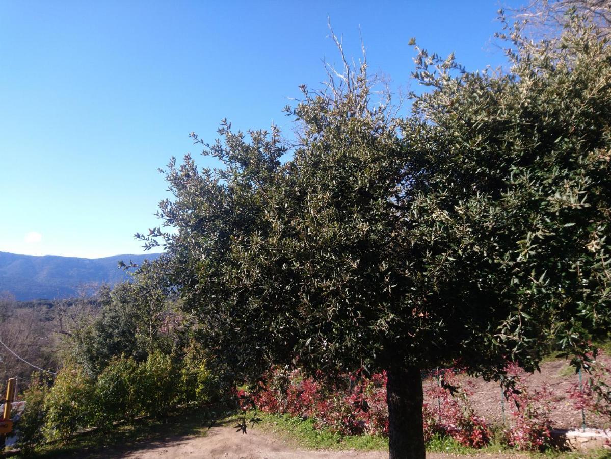 Casa Tanghicciola Διαμέρισμα Levie Εξωτερικό φωτογραφία