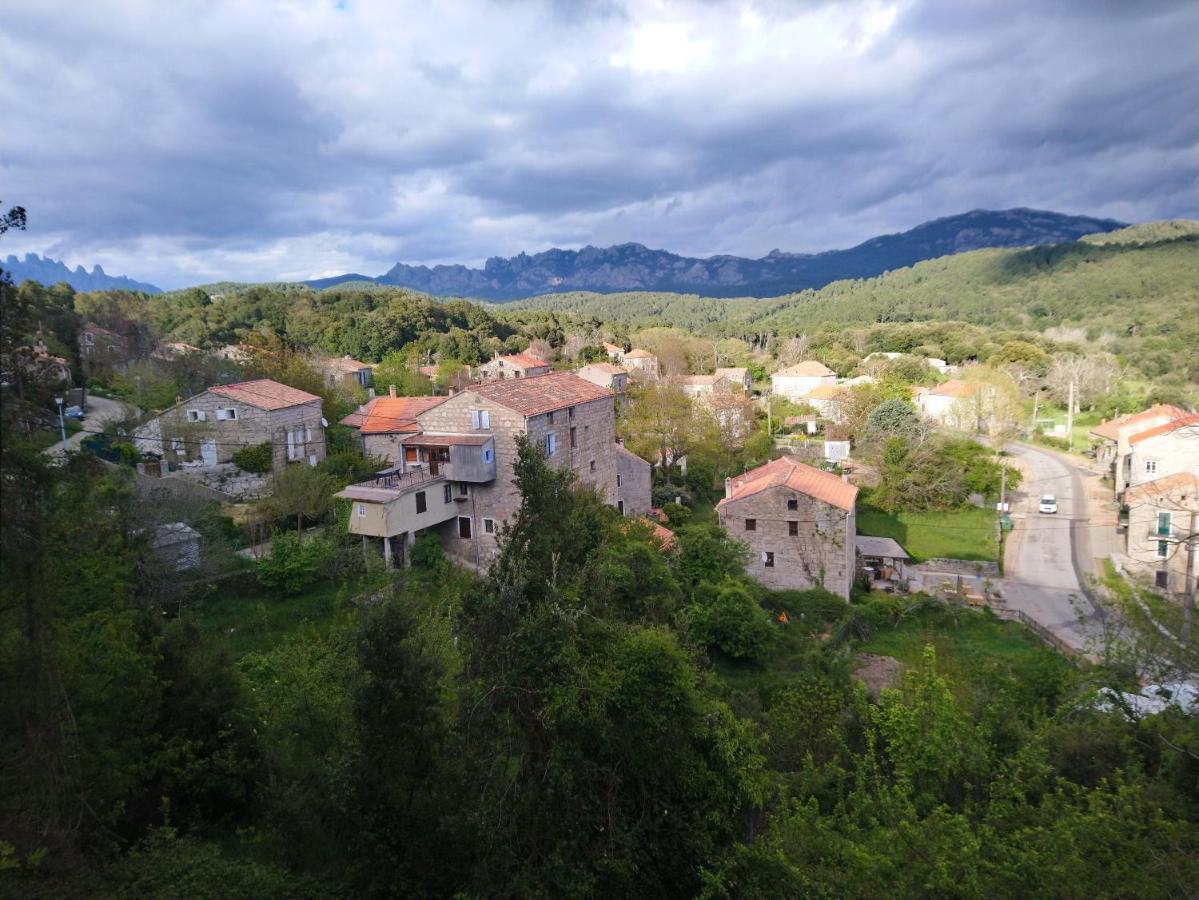 Casa Tanghicciola Διαμέρισμα Levie Εξωτερικό φωτογραφία